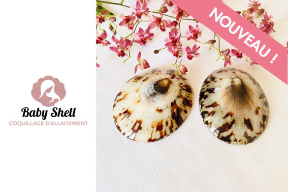promo babyshell coquillages allaitement